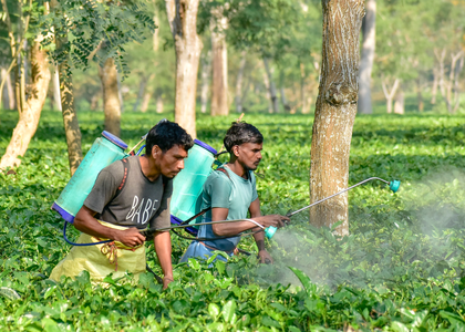 India’s unemployment rate declines in October-December quarter | India’s unemployment rate declines in October-December quarter India’s unemployment rate declines in October-December quarter | India’s unemployment rate declines in October-December quarter