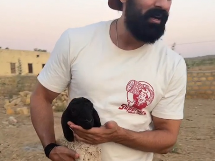 Mohit Malik rescues lone baby sheep on highway, Raveena Tandon reacts | Mohit Malik rescues lone baby sheep on highway, Raveena Tandon reacts Mohit Malik rescues lone baby sheep on highway, Raveena Tandon reacts | Mohit Malik rescues lone baby sheep on highway, Raveena Tandon reacts