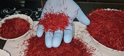 J&K residents joyous, hopeful of high demand after PM Modi gifts Kashmiri saffron to Putin | J&K residents joyous, hopeful of high demand after PM Modi gifts Kashmiri saffron to Putin J&K residents joyous, hopeful of high demand after PM Modi gifts Kashmiri saffron to Putin | J&K residents joyous, hopeful of high demand after PM Modi gifts Kashmiri saffron to Putin