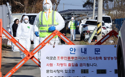 S. Korea confirms 8th highly contagious bird flu case of season | S. Korea confirms 8th highly contagious bird flu case of season