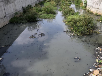 Four years after launch, Sanganoor canal restoration in TN's Coimbatore drags on | Four years after launch, Sanganoor canal restoration in TN's Coimbatore drags on Four years after launch, Sanganoor canal restoration in TN's Coimbatore drags on | Four years after launch, Sanganoor canal restoration in TN's Coimbatore drags on