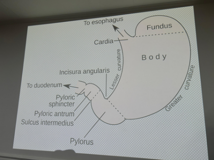 Metabolic surgery can help prevent organ damage, failure due to uncontrolled diabetes: AIIMS doctor | Metabolic surgery can help prevent organ damage, failure due to uncontrolled diabetes: AIIMS doctor Metabolic surgery can help prevent organ damage, failure due to uncontrolled diabetes: AIIMS doctor | Metabolic surgery can help prevent organ damage, failure due to uncontrolled diabetes: AIIMS doctor