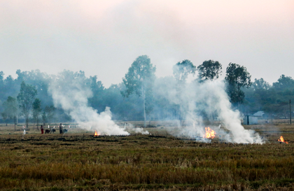 NASA says later-day stubble burning in northern India complicates air quality monitoring | NASA says later-day stubble burning in northern India complicates air quality monitoring NASA says later-day stubble burning in northern India complicates air quality monitoring | NASA says later-day stubble burning in northern India complicates air quality monitoring