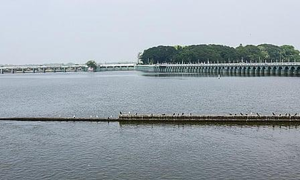 Water storage in TN's Cauvery delta tanks increases as rain boosts water storage | Water storage in TN's Cauvery delta tanks increases as rain boosts water storage Water storage in TN's Cauvery delta tanks increases as rain boosts water storage | Water storage in TN's Cauvery delta tanks increases as rain boosts water storage