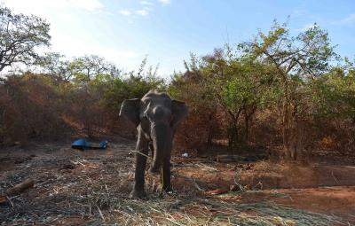 Sri Lanka to revive tourism after Cyclone Ditwah | Sri Lanka to revive tourism after Cyclone Ditwah Sri Lanka to revive tourism after Cyclone Ditwah | Sri Lanka to revive tourism after Cyclone Ditwah