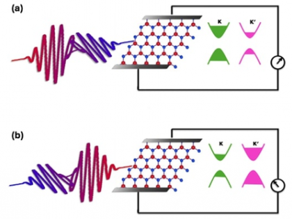 Single light pulse can control quantum states in 2D materials: IIT Bombay | Single light pulse can control quantum states in 2D materials: IIT Bombay Single light pulse can control quantum states in 2D materials: IIT Bombay | Single light pulse can control quantum states in 2D materials: IIT Bombay