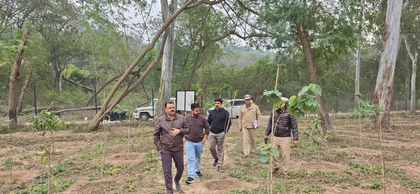 Chandigarh's Sukhna wildlife sanctuary home to leopards, jackals | Chandigarh's Sukhna wildlife sanctuary home to leopards, jackals Chandigarh's Sukhna wildlife sanctuary home to leopards, jackals | Chandigarh's Sukhna wildlife sanctuary home to leopards, jackals