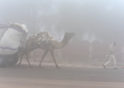 Dense fog blankets parts of Rajasthan; visibility drops in many areas | Dense fog blankets parts of Rajasthan; visibility drops in many areas Dense fog blankets parts of Rajasthan; visibility drops in many areas | Dense fog blankets parts of Rajasthan; visibility drops in many areas