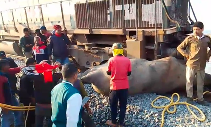 Train services disrupted in Assam after Rajdhani Express hits and kills seven elephants | Train services disrupted in Assam after Rajdhani Express hits and kills seven elephants Train services disrupted in Assam after Rajdhani Express hits and kills seven elephants | Train services disrupted in Assam after Rajdhani Express hits and kills seven elephants