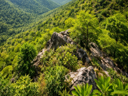 'Further clarification needed': SC puts revised Aravalli Hills definition in abeyance, mulls fresh expert committee | 'Further clarification needed': SC puts revised Aravalli Hills definition in abeyance, mulls fresh expert committee 'Further clarification needed': SC puts revised Aravalli Hills definition in abeyance, mulls fresh expert committee | 'Further clarification needed': SC puts revised Aravalli Hills definition in abeyance, mulls fresh expert committee