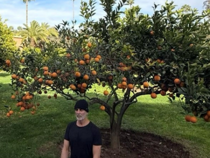 Akshay Kumar sits under an orange tree, reflects on growth | Akshay Kumar sits under an orange tree, reflects on growth Akshay Kumar sits under an orange tree, reflects on growth | Akshay Kumar sits under an orange tree, reflects on growth