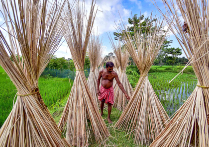 Bangladesh’s jute industry losing global edge due to high costs, outdated technology: BJSA chairman | Bangladesh’s jute industry losing global edge due to high costs, outdated technology: BJSA chairman