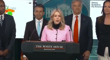 Greenland critical to deter Russian and Chinese activity in the Arctic: White House