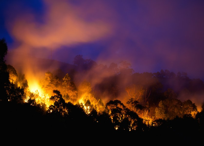 Bushfire claims one life in Australia's Victoria, state of disaster declared | Bushfire claims one life in Australia's Victoria, state of disaster declared Bushfire claims one life in Australia's Victoria, state of disaster declared | Bushfire claims one life in Australia's Victoria, state of disaster declared