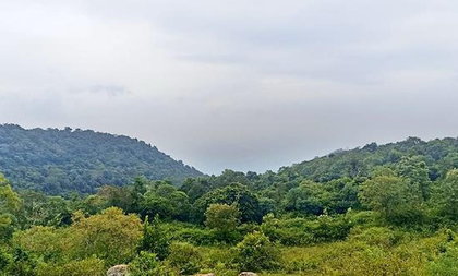 TN strengthens ecological protection, expands reserved forest network across 10 districts | TN strengthens ecological protection, expands reserved forest network across 10 districts TN strengthens ecological protection, expands reserved forest network across 10 districts | TN strengthens ecological protection, expands reserved forest network across 10 districts