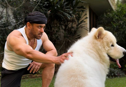 Salman Khan shares pictures of his special Sunday outing with furry friend | Salman Khan shares pictures of his special Sunday outing with furry friend