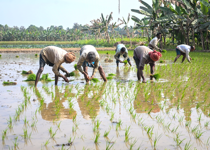 AI booster for agriculture: 7.63 crore farmer IDs created, 23.5 crore crop plots surveyed | AI booster for agriculture: 7.63 crore farmer IDs created, 23.5 crore crop plots surveyed AI booster for agriculture: 7.63 crore farmer IDs created, 23.5 crore crop plots surveyed | AI booster for agriculture: 7.63 crore farmer IDs created, 23.5 crore crop plots surveyed