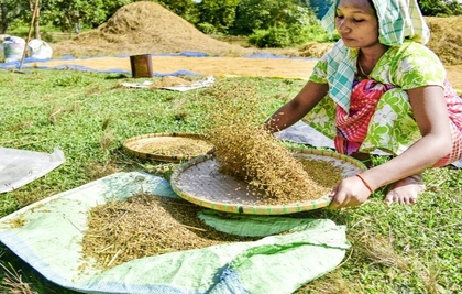 Wheat procurement in MP: Month-long Farmers’ registration at MSP from Feb 7 | Wheat procurement in MP: Month-long Farmers’ registration at MSP from Feb 7 Wheat procurement in MP: Month-long Farmers’ registration at MSP from Feb 7 | Wheat procurement in MP: Month-long Farmers’ registration at MSP from Feb 7
