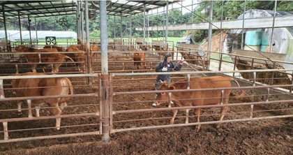 South Africa releases first locally produced FMD vaccine in 20 years | South Africa releases first locally produced FMD vaccine in 20 years