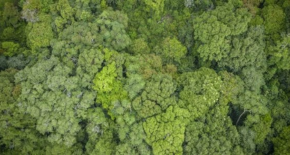 National Biodiversity Authority disburses Rs 45 lakh benefit for commercial use of resources | National Biodiversity Authority disburses Rs 45 lakh benefit for commercial use of resources National Biodiversity Authority disburses Rs 45 lakh benefit for commercial use of resources | National Biodiversity Authority disburses Rs 45 lakh benefit for commercial use of resources