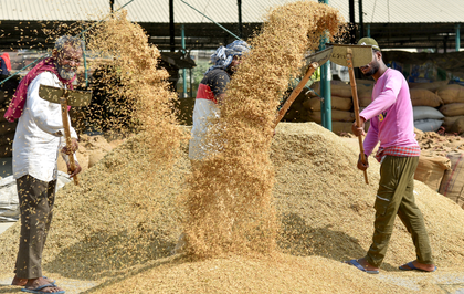 Adequate procurement centres set up, says TN govt as Samba, paddy harvest gains momentum | Adequate procurement centres set up, says TN govt as Samba, paddy harvest gains momentum Adequate procurement centres set up, says TN govt as Samba, paddy harvest gains momentum | Adequate procurement centres set up, says TN govt as Samba, paddy harvest gains momentum