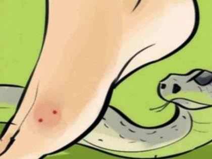 Gujarat to launch state-specific anti-venom from local snake poison to reduce deaths | Gujarat to launch state-specific anti-venom from local snake poison to reduce deaths Gujarat to launch state-specific anti-venom from local snake poison to reduce deaths | Gujarat to launch state-specific anti-venom from local snake poison to reduce deaths