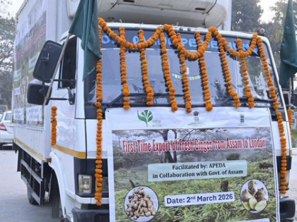 ‘Farmers step onto global stage’: CM Sarma on Assam’s 1st-ever export of GI-tagged Karbi Anglong ginger | ‘Farmers step onto global stage’: CM Sarma on Assam’s 1st-ever export of GI-tagged Karbi Anglong ginger ‘Farmers step onto global stage’: CM Sarma on Assam’s 1st-ever export of GI-tagged Karbi Anglong ginger | ‘Farmers step onto global stage’: CM Sarma on Assam’s 1st-ever export of GI-tagged Karbi Anglong ginger