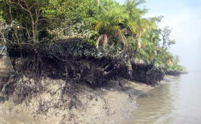 TN to map Blue Carbon ecosystems using drones, AI | TN to map Blue Carbon ecosystems using drones, AI TN to map Blue Carbon ecosystems using drones, AI | TN to map Blue Carbon ecosystems using drones, AI