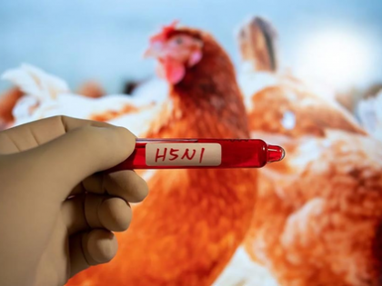 Japan confirms new highly pathogenic bird flu outbreak in Hokkaido | Japan confirms new highly pathogenic bird flu outbreak in Hokkaido Japan confirms new highly pathogenic bird flu outbreak in Hokkaido | Japan confirms new highly pathogenic bird flu outbreak in Hokkaido