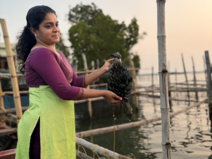 From coast to enterprise, women entrepreneurs steering change in fisheries | From coast to enterprise, women entrepreneurs steering change in fisheries From coast to enterprise, women entrepreneurs steering change in fisheries | From coast to enterprise, women entrepreneurs steering change in fisheries