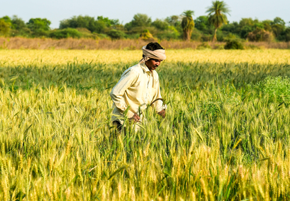 Gujarat farmers to receive over Rs 1,028 crore in PM Kisan 22nd instalment | Gujarat farmers to receive over Rs 1,028 crore in PM Kisan 22nd instalment Gujarat farmers to receive over Rs 1,028 crore in PM Kisan 22nd instalment | Gujarat farmers to receive over Rs 1,028 crore in PM Kisan 22nd instalment