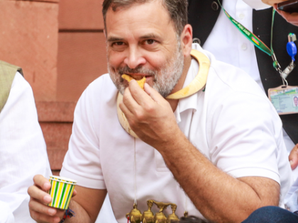 204 retired bureaucrats, army officers, lawyers raise concerns about Rahul Gandhi’s conduct in Parliament | 204 retired bureaucrats, army officers, lawyers raise concerns about Rahul Gandhi’s conduct in Parliament 204 retired bureaucrats, army officers, lawyers raise concerns about Rahul Gandhi’s conduct in Parliament | 204 retired bureaucrats, army officers, lawyers raise concerns about Rahul Gandhi’s conduct in Parliament