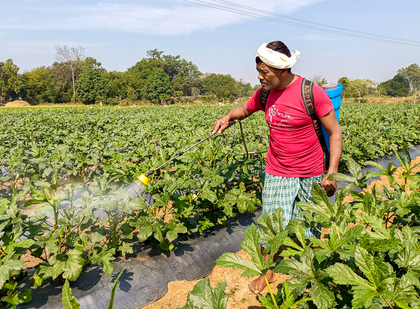 Govt boosts gas supply, urea output jumps 23 pc ahead of Kharif season | Govt boosts gas supply, urea output jumps 23 pc ahead of Kharif season Govt boosts gas supply, urea output jumps 23 pc ahead of Kharif season | Govt boosts gas supply, urea output jumps 23 pc ahead of Kharif season