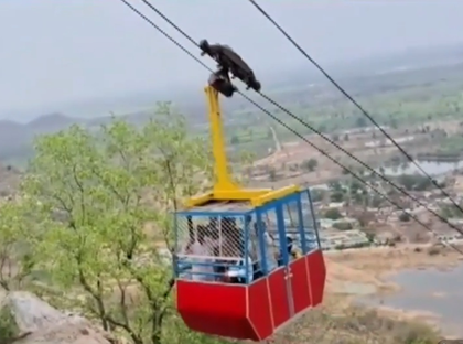 Six injured as Khallari temple ropeway snaps midway in Chhattisgarh's Mahasamund | Six injured as Khallari temple ropeway snaps midway in Chhattisgarh's Mahasamund Six injured as Khallari temple ropeway snaps midway in Chhattisgarh's Mahasamund | Six injured as Khallari temple ropeway snaps midway in Chhattisgarh's Mahasamund