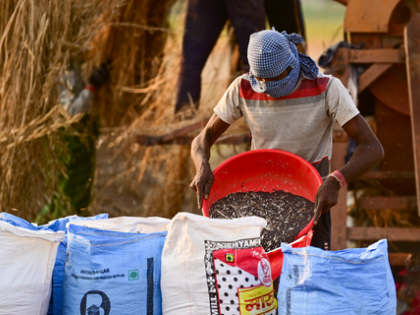 Uttar Pradesh leads in crop procurement through GeM portal, Gujarat and Maharashtra follow | Uttar Pradesh leads in crop procurement through GeM portal, Gujarat and Maharashtra follow Uttar Pradesh leads in crop procurement through GeM portal, Gujarat and Maharashtra follow | Uttar Pradesh leads in crop procurement through GeM portal, Gujarat and Maharashtra follow