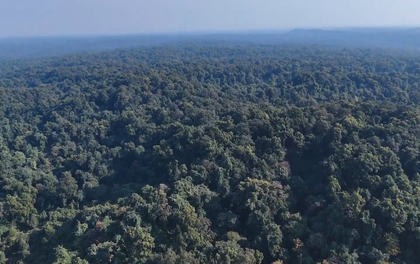 India charts ambitious green pathway: Conservation drives climate action | India charts ambitious green pathway: Conservation drives climate action India charts ambitious green pathway: Conservation drives climate action | India charts ambitious green pathway: Conservation drives climate action