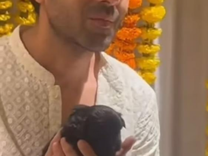 Kartik Aaryan, Shefali Shah & others shower love on their special buddies this National Pet Day | Kartik Aaryan, Shefali Shah & others shower love on their special buddies this National Pet Day Kartik Aaryan, Shefali Shah & others shower love on their special buddies this National Pet Day | Kartik Aaryan, Shefali Shah & others shower love on their special buddies this National Pet Day