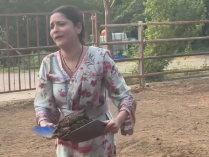 Ankita Lokhande picks cow dung with bare hands, embraces 'Gau Seva' | Ankita Lokhande picks cow dung with bare hands, embraces 'Gau Seva' Ankita Lokhande picks cow dung with bare hands, embraces 'Gau Seva' | Ankita Lokhande picks cow dung with bare hands, embraces 'Gau Seva'