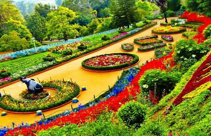 TN's Ooty flower festival begins today with grand floral displays, heritage themes | TN's Ooty flower festival begins today with grand floral displays, heritage themes TN's Ooty flower festival begins today with grand floral displays, heritage themes | TN's Ooty flower festival begins today with grand floral displays, heritage themes