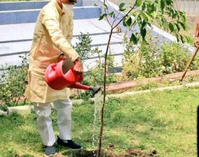 Shivraj becomes brand ambassador of MP's afforestation drive | Shivraj becomes brand ambassador of MP's afforestation drive