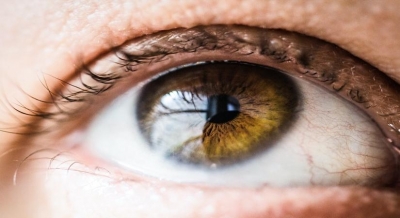 AI model uses retinal scans to predict Alzheimer's disease | AI model uses retinal scans to predict Alzheimer's disease AI model uses retinal scans to predict Alzheimer's disease | AI model uses retinal scans to predict Alzheimer's disease