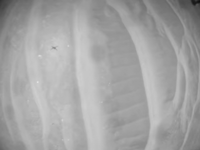 NASA's Ingenuity Mars helicopter captures record-breaking flight video | NASA's Ingenuity Mars helicopter captures record-breaking flight video