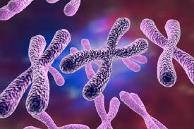 1 in 500 men carry extra sex chromosome raising risk of diseases: Study | 1 in 500 men carry extra sex chromosome raising risk of diseases: Study
