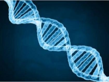 Genes can identify, respond to coded information in light signals: Study | Genes can identify, respond to coded information in light signals: Study