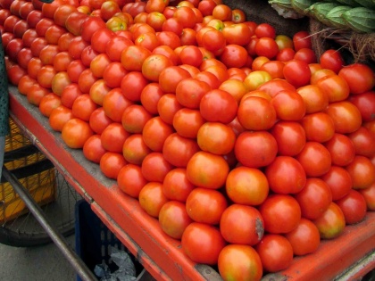 TN govt starts selling tomatoes from ration shops at half price | TN govt starts selling tomatoes from ration shops at half price