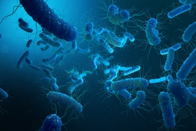 ICMR seeks private partners for joint development of typhoid, paratyphoid vaccine | ICMR seeks private partners for joint development of typhoid, paratyphoid vaccine ICMR seeks private partners for joint development of typhoid, paratyphoid vaccine | ICMR seeks private partners for joint development of typhoid, paratyphoid vaccine