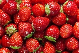Eating strawberries daily may boost cognitive function, cut BP in elderly | Eating strawberries daily may boost cognitive function, cut BP in elderly Eating strawberries daily may boost cognitive function, cut BP in elderly | Eating strawberries daily may boost cognitive function, cut BP in elderly