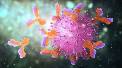 How our immune system is linked with long Covid | How our immune system is linked with long Covid How our immune system is linked with long Covid | How our immune system is linked with long Covid