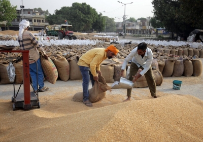 `Procurement and free distribution of rice/wheat reduced wealth inequality during Covid in India' | `Procurement and free distribution of rice/wheat reduced wealth inequality during Covid in India'