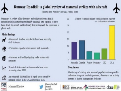 'Runway Roadkill' rapidly increasing at airports across the world: Study | 'Runway Roadkill' rapidly increasing at airports across the world: Study
